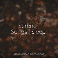 Serene Songs | Sleep