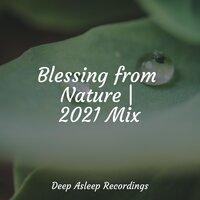 Blessing from Nature | 2021 Mix