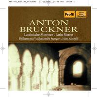 Bruckner: Latin Motets
