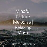 Mindful Nature Melodies | Relaxing Music