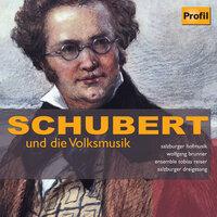 Schubert: Schubert Und Die Volksmusik
