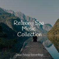 Relaxing Spa Music Collection