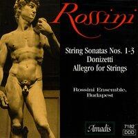 Donizetti: Allegro for Strings in C Major / Rossini: String Sonatas Nos. 1-3
