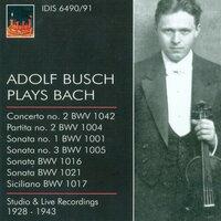Bach, J.S.: Violin Music - Bwv 1001, 1004, 1005, 1016, 1017, 1021, 1042 (Busch) (1928-1943)