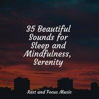 35 Beautiful Sounds for Sleep and Mindfulness, Serenity