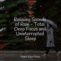Relaxing Sounds of Rain - Total Deep Focus and Uninterrupted Sleep