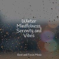 Winter Mindfulness, Serenity and Vibes