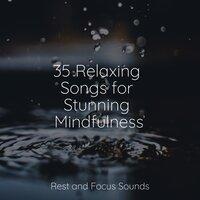 35 Relaxing Songs for Stunning Mindfulness