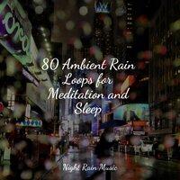80 Ambient Rain Loops for Meditation and Sleep