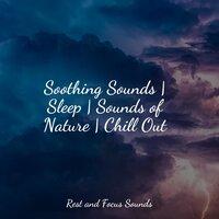 Soothing Sounds | Sleep | Sounds of Nature | Chill Out