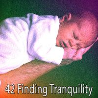 42 Finding Tranquility