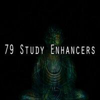 79 Study Enhancers