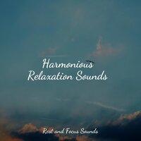 Harmonious Relaxation Sounds