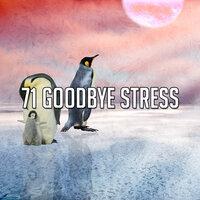 71 Goodbye Stress