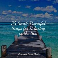 35 Gentle Powerful Songs for Relaxing at the Spa