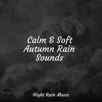 Calm & Soft Autumn Rain Sounds