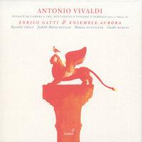 Trio Sonata in D Minor, Op. 1, No. 12, RV 63, "Follia": Variation 13