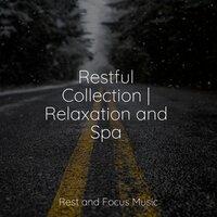 Restful Collection | Relaxation and Spa