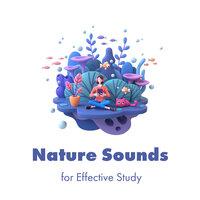 Nature Sounds for Effective Study: Relaxing Ambiance with Instrumental Music and Nature