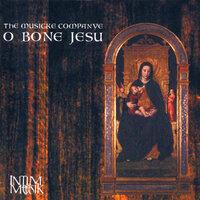 Musicke Companye: O Bone Jesu