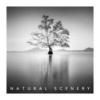 Natural Scenery: Sounds for Deep Sleep, Relax and Mindfulness