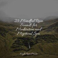 25 Mindful Rain Sounds for Meditation and Mystical Spa