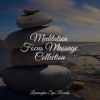 Meditation Focus Massage Collection