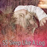 55 Sleep Like a Log