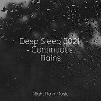 Deep Sleep 2021 - Continuous Rains
