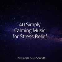 40 Simply Calming Music for Stress Relief