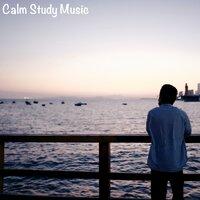 Calm Study Music