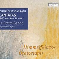Bach: Cantatas, Vol. 10