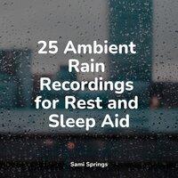 25 Ambient Rain Recordings for Rest and Sleep Aid