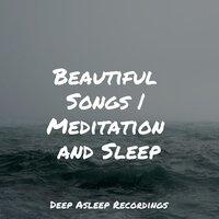 Beautiful Songs | Meditation and Sleep