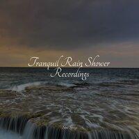 Tranquil Rain Shower Recordings