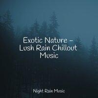 Exotic Nature - Lush Rain Chillout Music