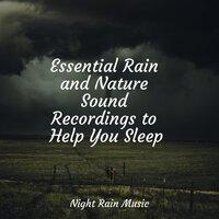 Essential Rain and Nature Sound Recordings to Help You Sleep