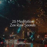 25 Meditation Zen Rain Sounds