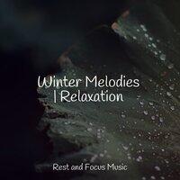 Winter Melodies | Relaxation