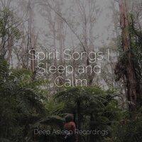 Spirit Songs | Sleep and Calm
