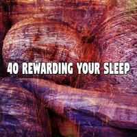 40 Rewarding Your Sle - EP