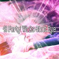 48 Forty Winks Shut Eye