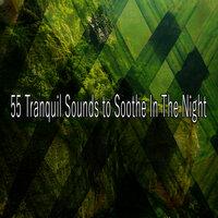 55 Tranquil Sounds to Soothe in the Night