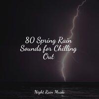 80 Spring Rain Sounds for Chilling Out