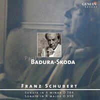 Schubert, F.: Piano Sonatas Nos. 14 and 20