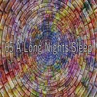 65 A Long Nights Sle - EP