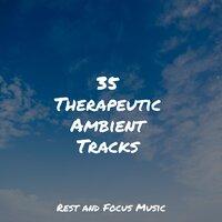 35 Therapeutic Ambient Tracks