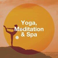 Yoga, Meditation & Spa