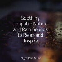 Soothing Loopable Nature and Rain Sounds to Relax and Inspire