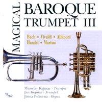 Magical Baroque Trumpet III